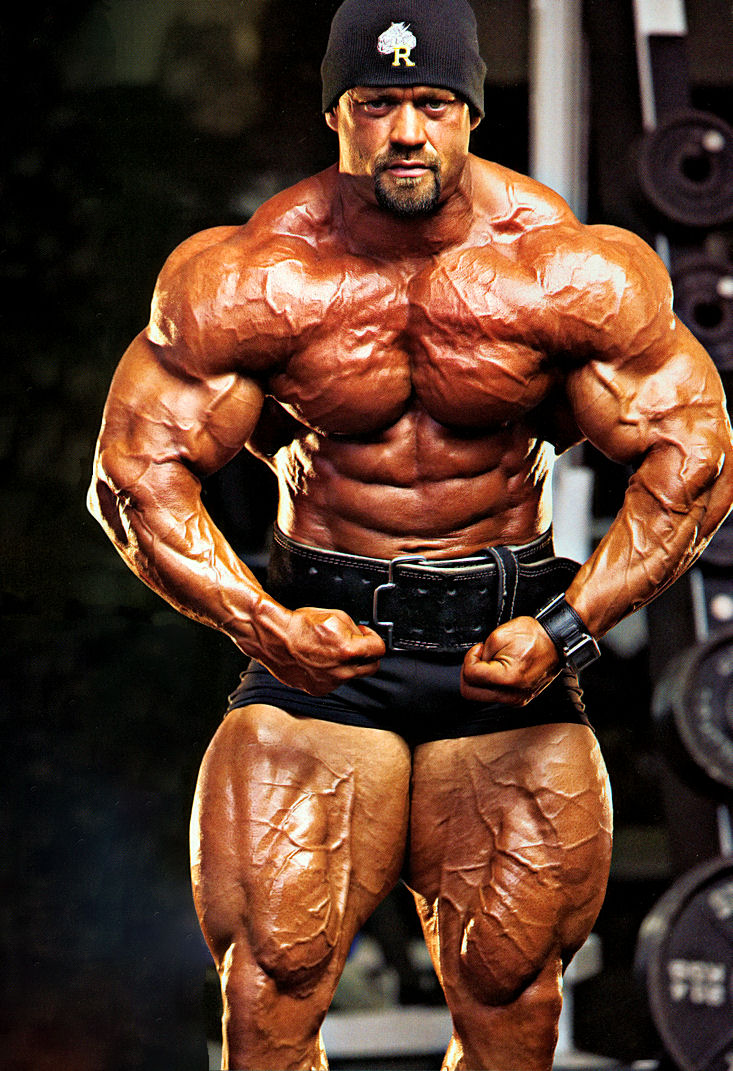 branch%20rocks2%20(2)[1].jpg
