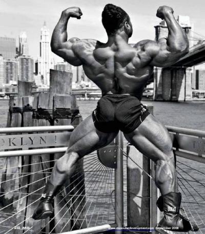 kai_greene2[1].jpg