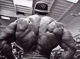 Troy Alves Wallpaper[1].jpg